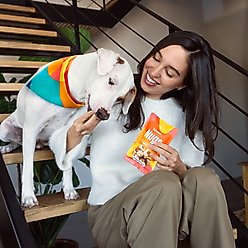 Kismet Salmon & Brown Rice Recipe with Freeze-Dried Nugs Dry Dog Food, 19-lb bag + Beef & Sweet Potato Nugs Freeze-Dried Treats, 1-oz bag slide 2 of 9