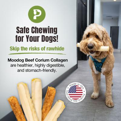 Show full view: Palz&Co Moodog Beef Corium Collagen 7-inch Pumpkin & Oat Flavor Natural Dog Chew  slide 5 of 10