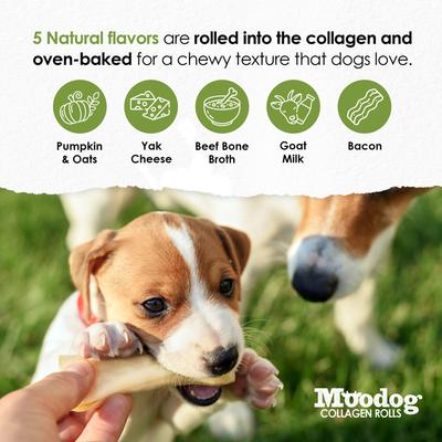Show full view: Palz&Co Moodog Beef Corium Collagen 5-inch Bone Broth Flavor Natural Dog Chews, 2 count slide 7 of 10