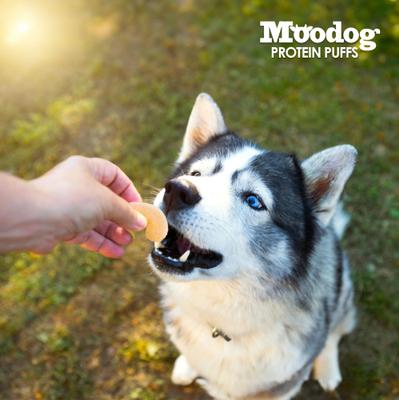 Show full view: Palz&Co Moodog Beef Protein Puffs Bone Broth Flavor Crunchy Dog Treats, 1-oz bag slide 5 of 11