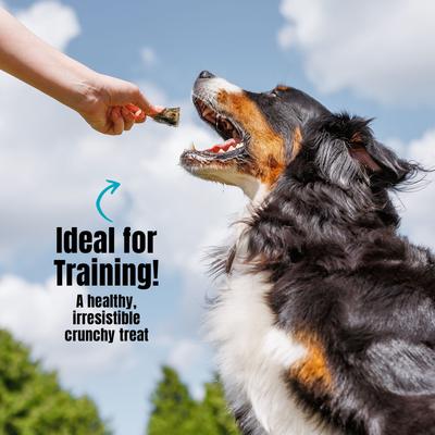 Show full view: Palz&Co Fishdog Cod Skin Bites Cubes Crunchy Dog Treats, 2.5-oz bag slide 7 of 10