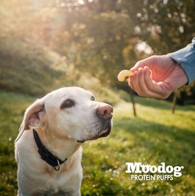 Show full view: Palz&Co Moodog Beef Protein Puffs Goat Milk Flavor Crunchy Dog Treats, 1-oz bag slide 5 of 11