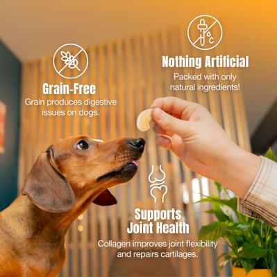 Show full view: Palz&Co Moodog Beef Protein Puffs Pumpkin & Oatmeal Flavor Crunchy Dog Treats, 1-oz bag slide 5 of 11