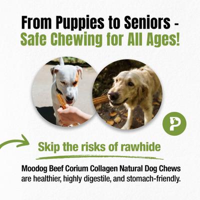 Show full view: Palz&Co Moodog Beef Corium Collagen 7-inch EZ Granulated Natural Dog Chews, 2 count slide 5 of 10