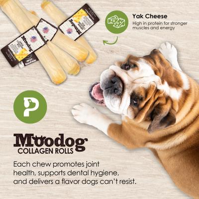 Show full view: Palz&Co Moodog Beef Corium Collagen 11-inch Yak Cheese Flavor Natural Dog Chew slide 9 of 10