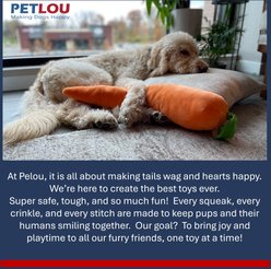 Petlou Farm Friends Mallard Duck Squeaky Plush Dog Toy, Grey, 26-in slide 2 of 5