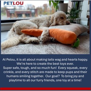Petlou Carrot Squeaky Plush Dog Toy, Orange, 29-in