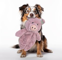 Petlou Floppy Pig Squeaky Plush Dog Toy, Mauve, 13-in slide 2 of 5