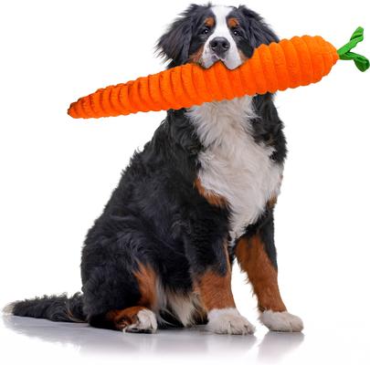 Show full view: Petlou Luxe Carrot Squeaky Plush Dog Toy, Orange, 33-in slide 2 of 6