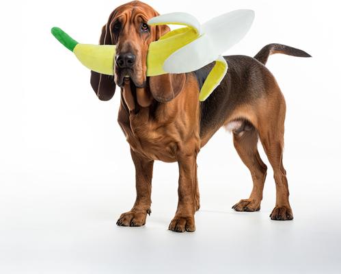 Show full view: Petlou Banana Squeaky Plush Dog Toy, Yellow, 29-in slide 2 of 6