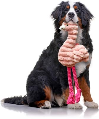 Show full view: Petlou Zoo Friends Flamingo Squeaky Plush Dog Toy, Pink, 26-in slide 3 of 6