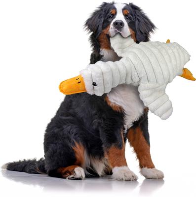 Show full view: Petlou Farm Friends Goose Squeaky Plush Dog Toy, White, 26-in slide 2 of 6