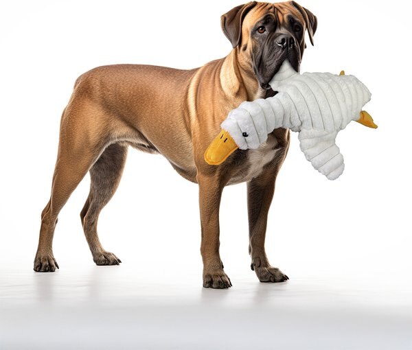 Petlou Baguette Squeaky Plush Dog Toy