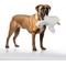 Show in main carousel: Petlou Farm Friends Goose Squeaky Plush Dog Toy, White, 16-in slide 2 of 6
