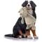 Show in main carousel: Petlou Farm Friends Dog Squeaky Plush Dog Toy, Brown, 16-in slide 2 of 6