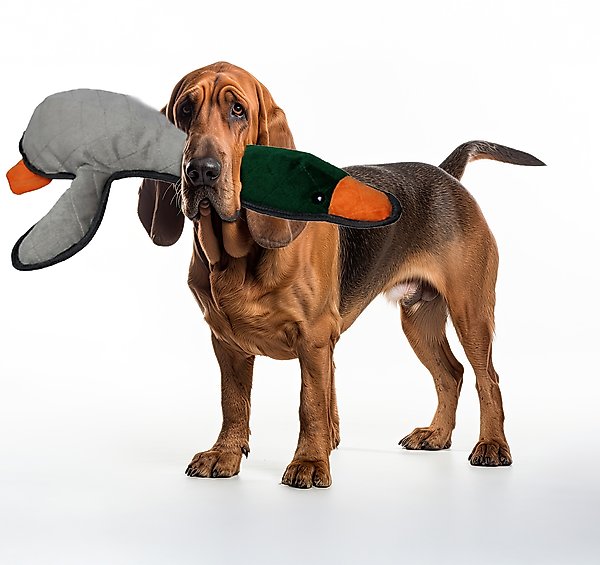 Show full view: Petlou Bite Me Mallard Duck Squeaky Plush Dog Toy, Grey, 19-in slide 2 of 5