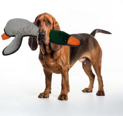 Show full view: Petlou Bite Me Mallard Duck Squeaky Plush Dog Toy, Grey, 19-in slide 2 of 5