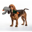 Petlou Bite Me Dog Plush Dog Toy, 8-in
