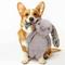 Show in main carousel: Petlou Floppy Rabbit Squeaky Plush Dog Toy, Pink, 13-in slide 2 of 5