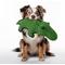 Show in main carousel: Petlou Farmhouse Crocodile Squeaky Plush Dog Toy, Green, 13-in slide 2 of 5