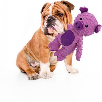 Show full view: Petlou Dotty Friends 3.0 Pig Squeaky Plush Dog Toy, Pink, 13-in slide 2 of 5