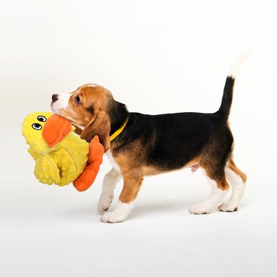 Show full view: Petlou Dotty Friends Duck Squeaky Plush Dog Toy, Yellow, 12-in slide 2 of 5