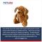 Show in main carousel: Petlou Dotty Friends Dog Squeaky Plush Dog Toy, Brown, 12-in slide 5 of 7