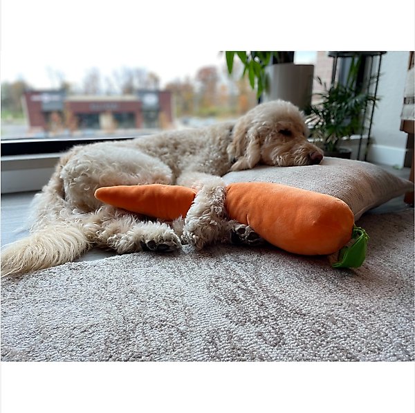 Show full view: Petlou Carrot Squeaky Plush Dog Toy, Orange, 29-in slide 2 of 6