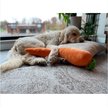 Show in main carousel: Petlou Carrot Squeaky Plush Dog Toy, Orange, 29-in slide 2 of 6