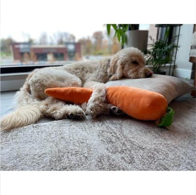 Show full view: Petlou Carrot Squeaky Plush Dog Toy, Orange, 29-in slide 2 of 6