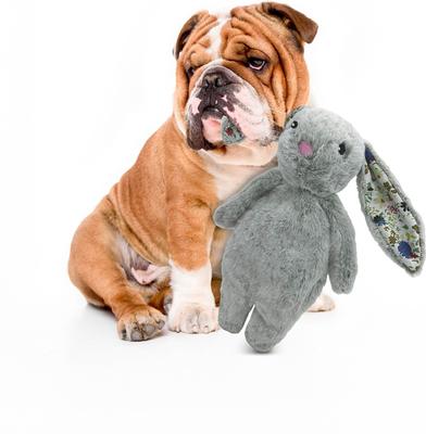 Show full view: Petlou Floppy Rabbit Squeaky Plush Dog Toy, Grey, 13-in slide 2 of 6