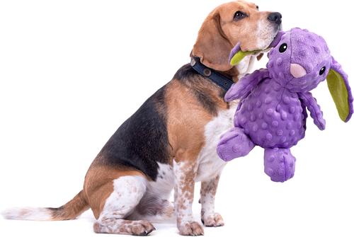 Show full view: Petlou Dotty Friends Rabbit Squeaky Plush Dog Toy, Purple, 12-in slide 2 of 5