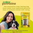 Jack & Pup Pawtains Bone Dog Chew, Large, 2 count