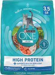 Purina ONE Plus Skin & Coat Health Formula Natural Salmon & Ocean Whitefish High Protein Dry Cat Food, 3.5-lb bag