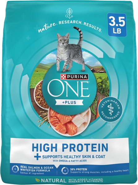Purina ONE Plus Skin & Coat Health Formula Natural Salmon & Ocean Whitefish High Protein Dry Cat Food