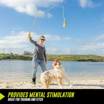 Show full view: Hyper Pet Flirt Pole Dog Training Toy, Black, Large slide 7 of 9