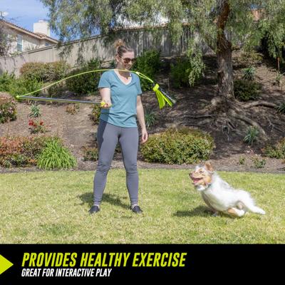 Show full view: Hyper Pet Flirt Pole Dog Training Toy, Black, Large slide 8 of 9