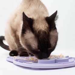 Jackson Galaxy Mmmeow Mat Non-skid Silicone Cat Feeder, 1-cup, Lavender slide 2 of 9
