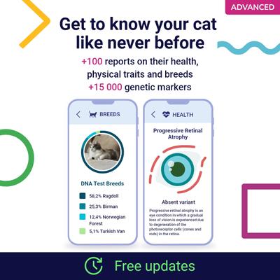 Show full view: Koko Genetics Advanced Cat DNA Test slide 3 of 11