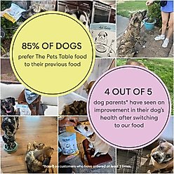 The Pets Table Beef & Berries Grain-Free Air-Dried Dog Food, 16-oz bag slide 2 of 7