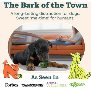 Woof Starter Pack Chicken & Peanut Butter Flavored Treats, Silicone Mold & Pupsicle Dog Toy, Small