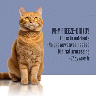 Show full view: Whole Life Nature's Remedy Skin & Allergy Support Whole Food Cat Supplement, 4.5-oz bag slide 7 of 12