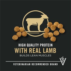 Purina Pro Plan High Protein DHA Lamb & Rice Formula Puppy Food, 34-lb bag