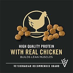 Purina Pro Plan High Protein Chicken & Rice Formula Dry Puppy Food, 34-lb bag slide 2 of 9