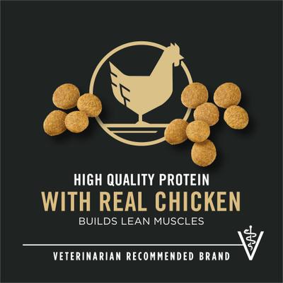 Purina Pro Plan High Protein Chicken & Rice Formula Large Breed Dry Puppy Food