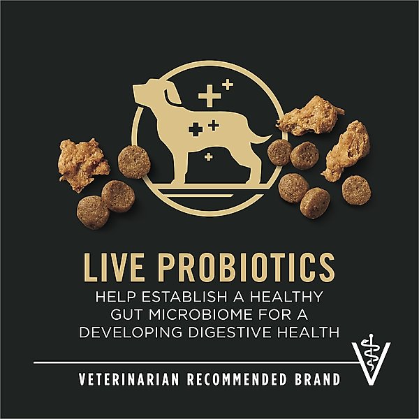 Purina Pro Plan Puppy Shredded Blend Chicken & Rice Formula with Probiotics Dry Dog Food