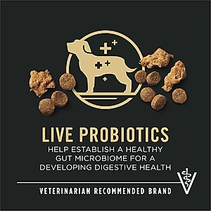 Purina Pro Plan Puppy Shredded Blend Chicken & Rice Formula with Probiotics Dry Dog Food, 34-lb bag