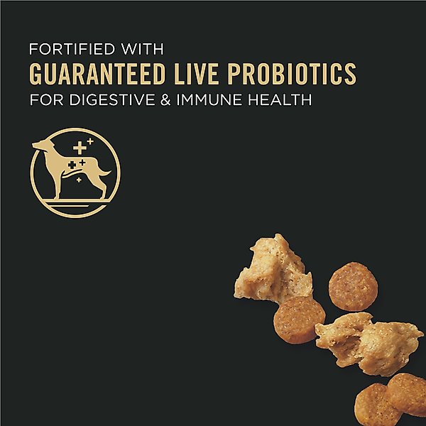 Purina Pro Plan Puppy Shredded Blend Chicken & Rice Formula with Probiotics Dry Dog Food
