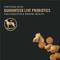 Show in main carousel: Purina Pro Plan Puppy Shredded Blend Chicken & Rice Formula with Probiotics Dry Dog Food, 6-lb bag slide 4 of 13