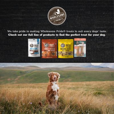 Show full view: Wholesome Pride Pet Treats Pumpkin Slices Dehydrated Dog Treats, 5-oz bag slide 8 of 11